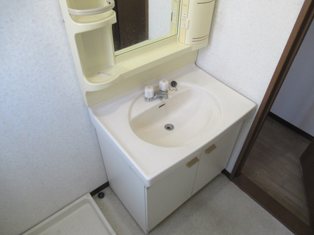 グリーンコーポの洗面所