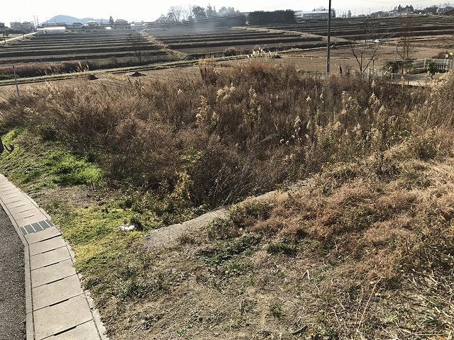 仁井田字桝形　土地