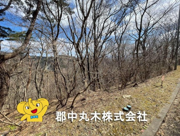 安達郡大玉村玉井字守谷山の売地