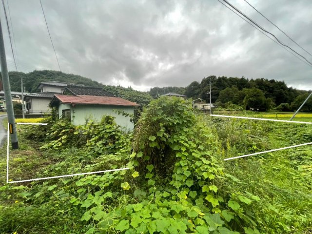 白岩字大岩土地