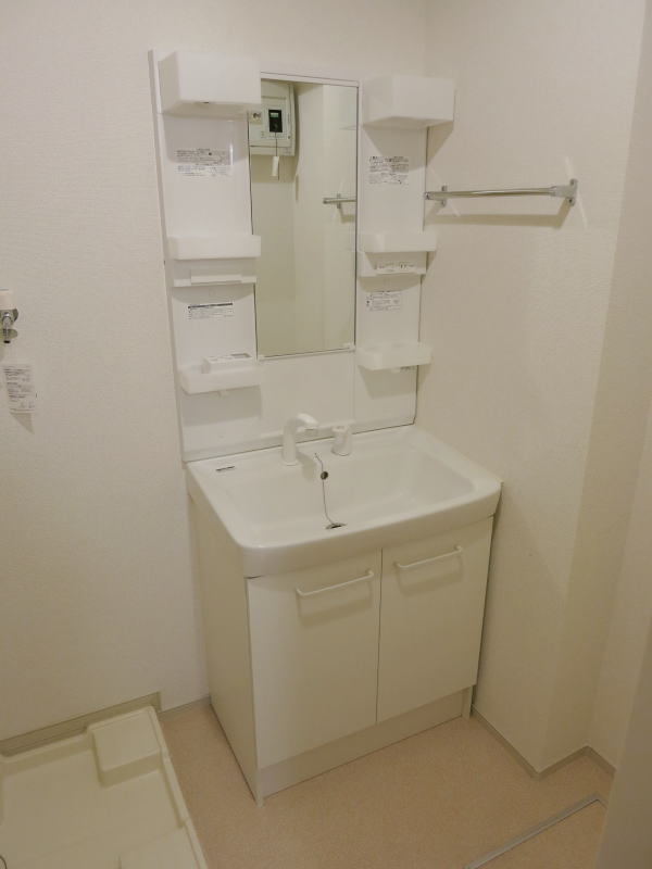 グランデ・Ⅰの洗面所