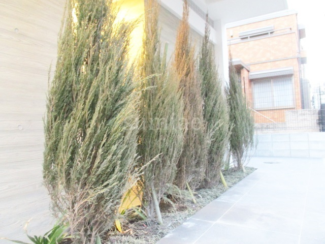 ガリシア東十条Ｓｏｕｔｈのその他|植栽です☆