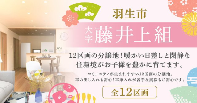羽生市藤井上組（全12区画）■ファイブイズタウン■の画像