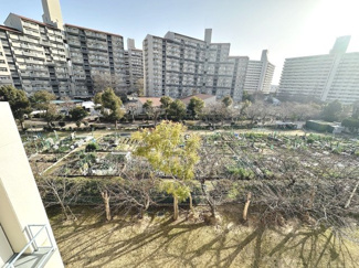 【庭】 | かもめ第二コーポ１４号棟 | 南向きのバルコニーから桜景色がキレイです！お花見の季節が楽しみです♪