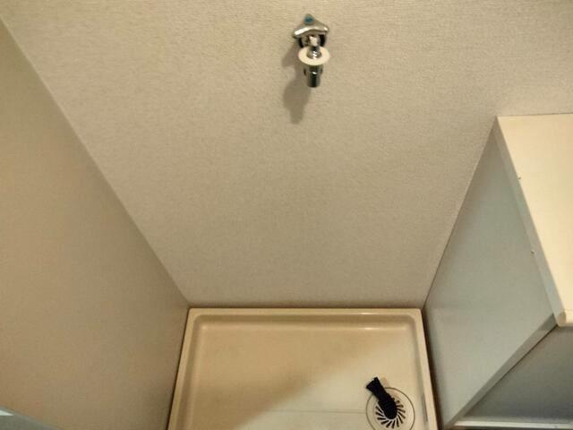 １０１の参考写真