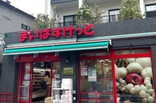 ハーモニーレジデンス大塚山手インサイドの周辺