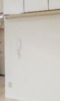 メゾン・ド・ネーフルのセキュリティ|TV付きインターホン☆