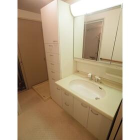 ハウス上野毛の洗面所