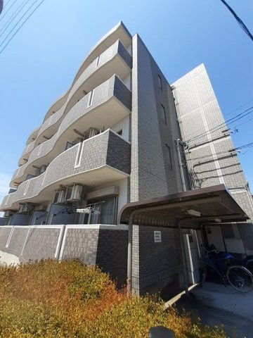 プラシードカーサ