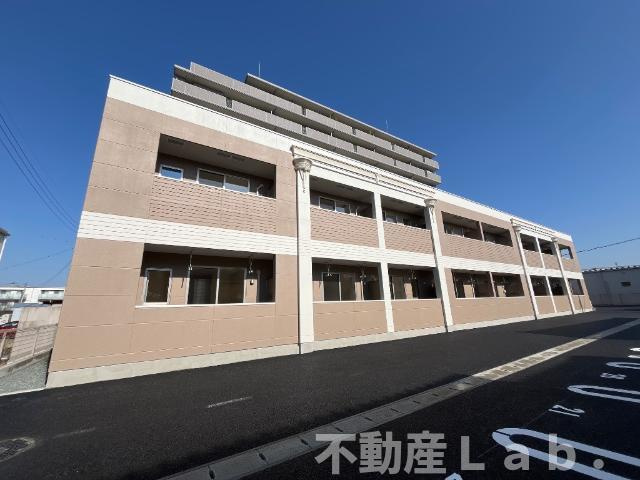 Ｐｌｕｍａ　Ｂｒａｎｃａ