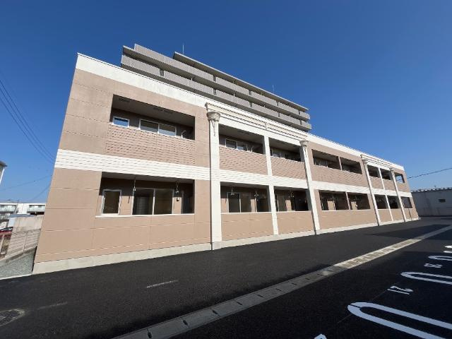 Ｐｌｕｍａ　Ｂｒａｎｃａ