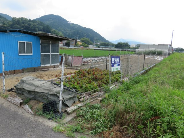 西条市福武甲の売地