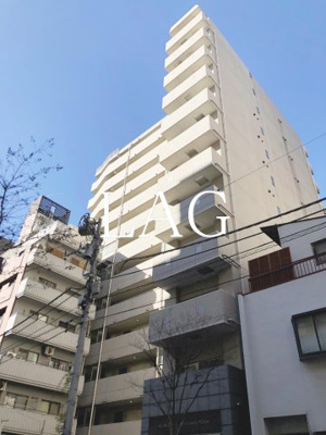 【外観】 | メゾン・ド・ヴィレ日本橋中洲 | 外観です。