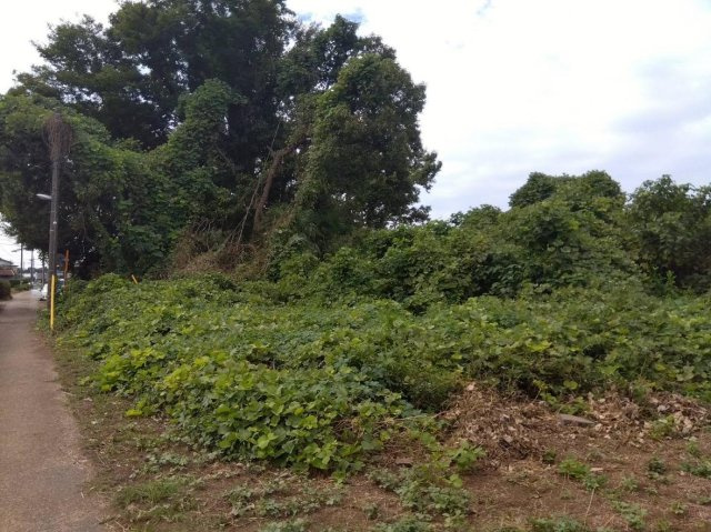 坂東市弓田の売地