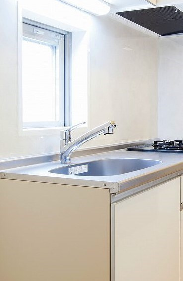 ドルチェヴィータ両国のその他