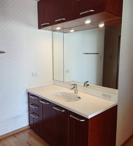 芦屋翠ヶ丘パーク・マンションの洗面所