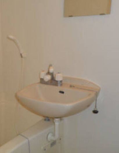 ブリーズ千石の洗面所