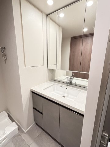 パークタワー向ヶ丘遊園の洗面所