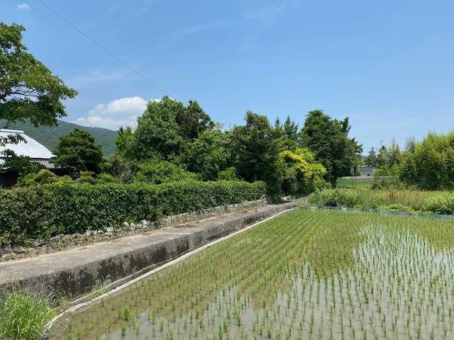 阿波市土成町浦池の売地