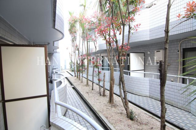 ロンベルク17の展望