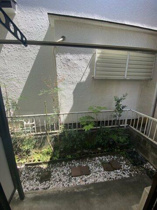庭の写真です。