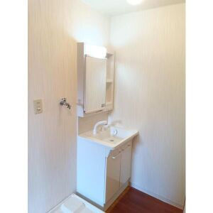 ファミール如意申の洗面所