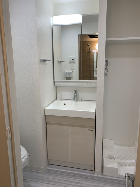 AXAS西大島sta.の洗面所