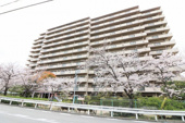 シティパーク武庫之荘の画像