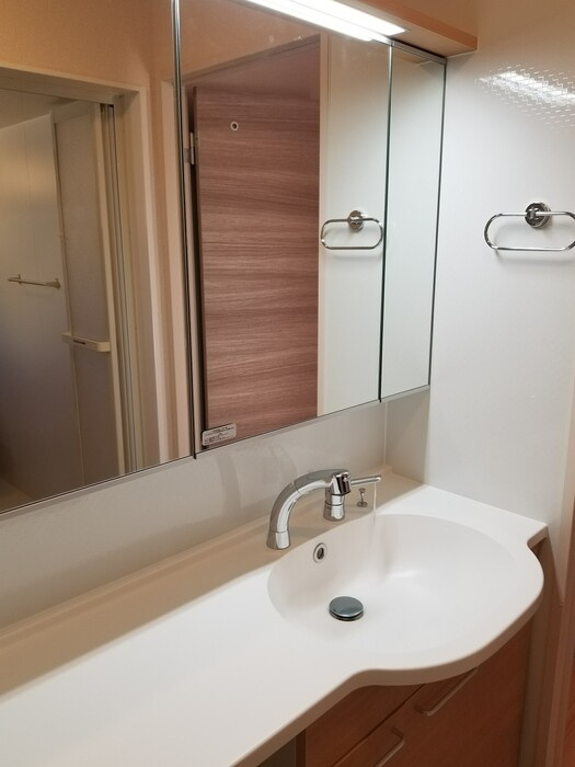 ブリエコリーヌCの洗面所