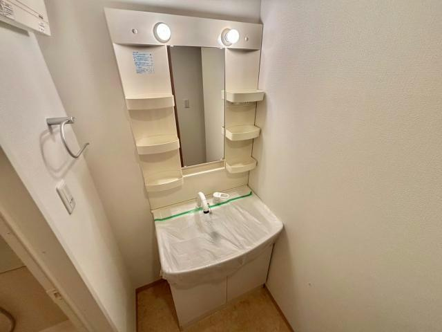 ビヤン北八代の洗面所