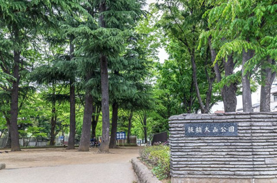 【周辺】 | 板橋区栄町　新築戸建　10499万円 | 板橋大山公園