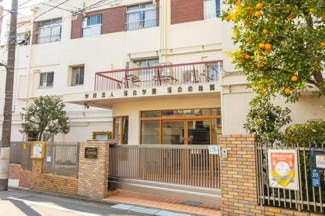 【周辺】 | 板橋区栄町　新築戸建　10499万円 | 落合幼稚園