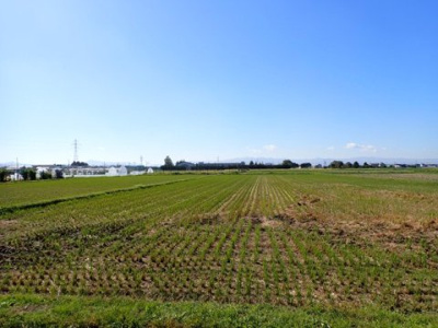 【周辺】 | 黒石市飛内　小屋付き土地