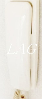 【セキュリティ】 | グリーンヒルＶＩＩ | インターホンです。