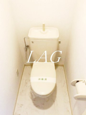 【トイレ】 | グリーンヒルＶＩＩ | トイレです。