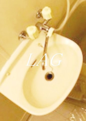 【洗面所】 | グリーンヒルＶＩＩ | 洗面台です。