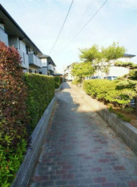 ベルナールⅡの庭