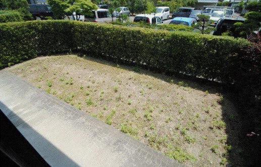 ベルナールⅡの庭