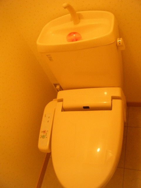 ジュノーⅤのトイレ