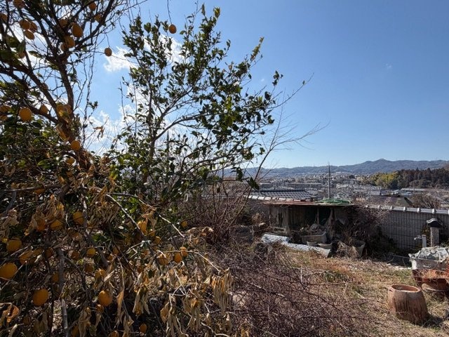 斑鳩町龍田北４丁目　中古戸建の庭|高台に佇む解放感あふれる住まい!(^^)!