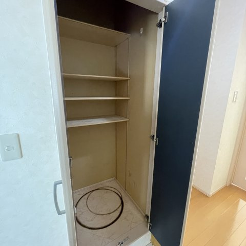 ゴールデンシップのその他