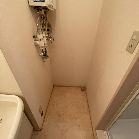 ゴールデンシップのその他