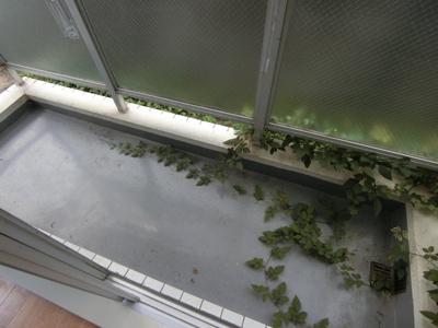 【バルコニー】 | コスタ武蔵小杉 | 他のお部屋の参考写真となります。