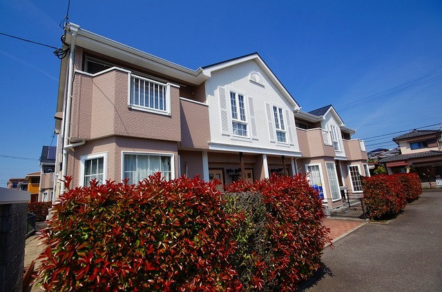 ピュアドリ－ムⅡ