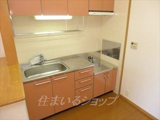 広島市安佐北区亀山６丁目のアパートのキッチン|浄水器一体型シャワー水栓