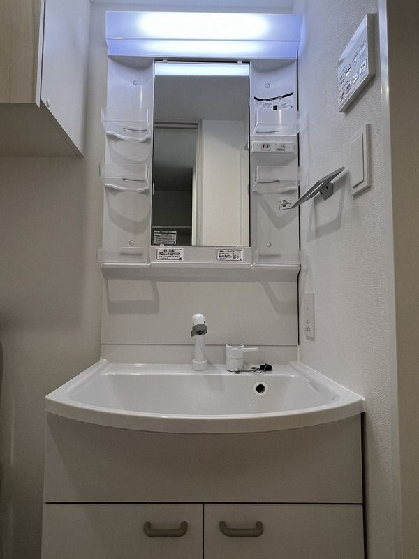 レガリス亀戸の洗面所