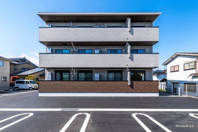 アガパンサス　Ⅱ