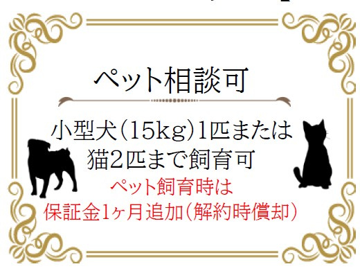 【その他】