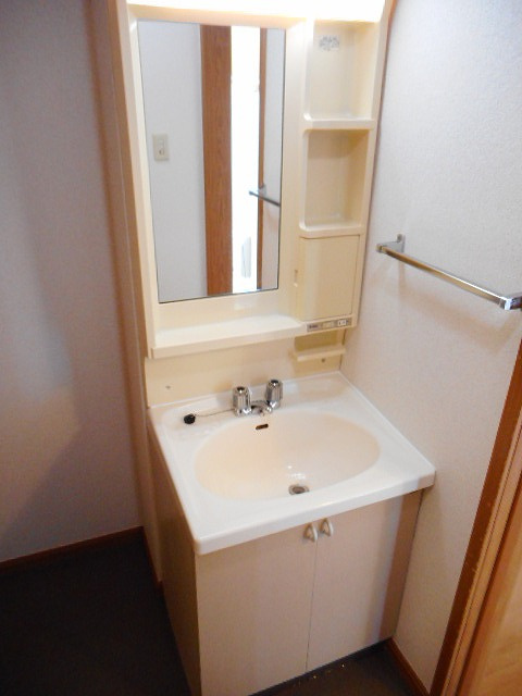 サンテラス窪　Ａの洗面所|洗面所