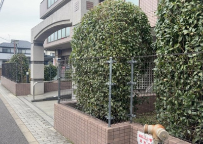 【中庭】 | サンライズステージ淵野辺Ⅰ | 中庭（パティオ）とは、一つの建築物の内部に設けられた、壁などで囲われている庭のことを指します。コの字型、ロの字型が主流ですが、L字型の中庭もあります。最近では、インテリア性の高さからも人気があります。